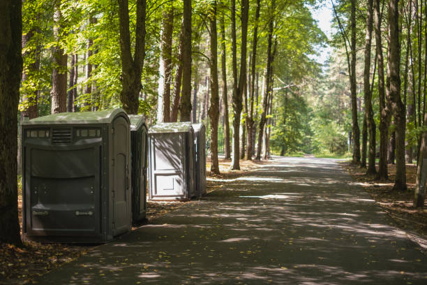 Best Portable toilet rental cost  in De Pue, IL
